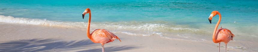eSIM data plans for Aruba