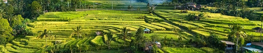 eSIM data plans for Indonesia
