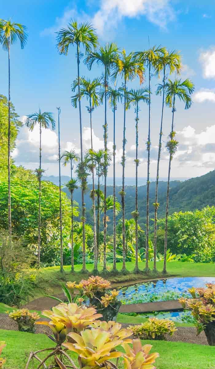 eSIM data plans for Martinique