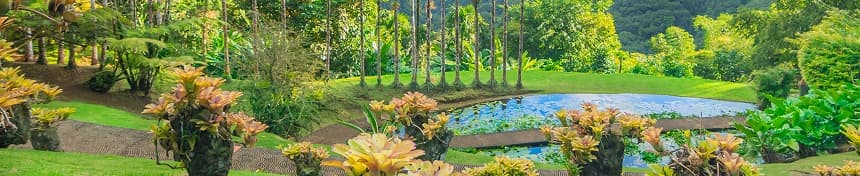 eSIM data plans for Martinique