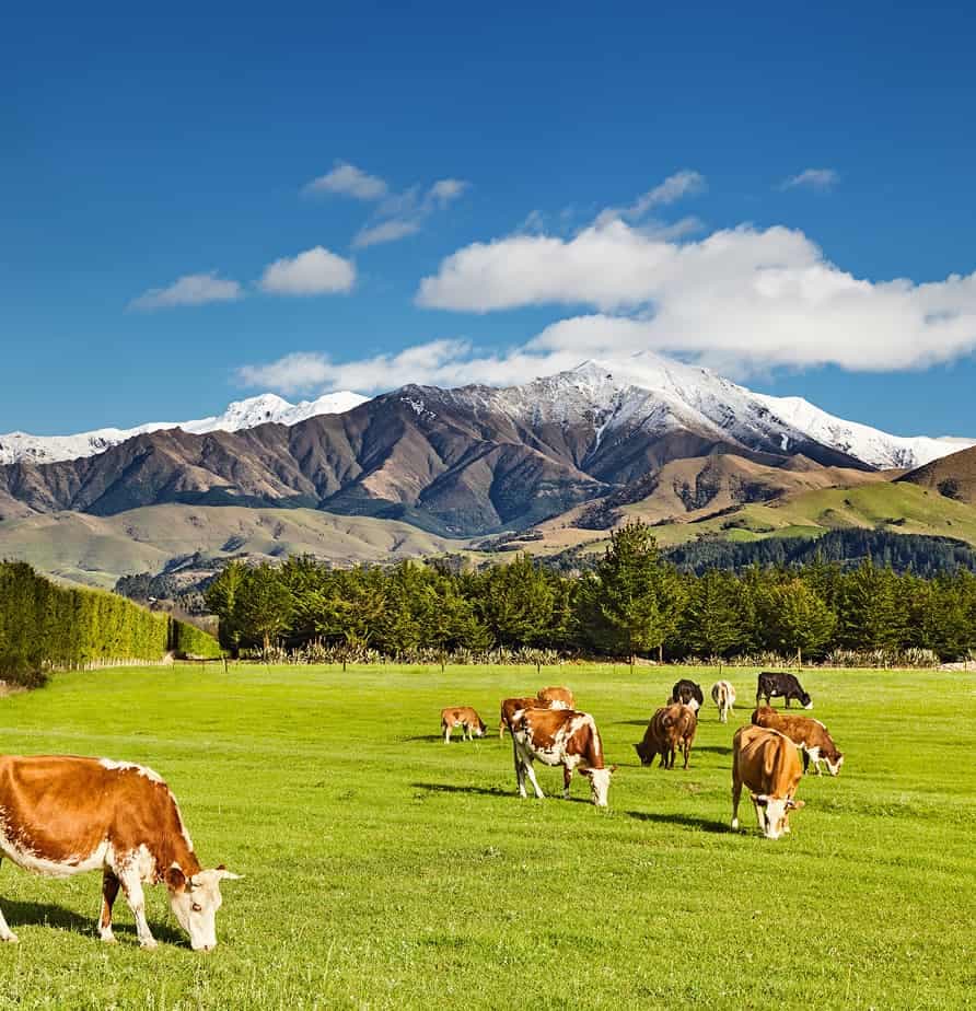 New Zealand