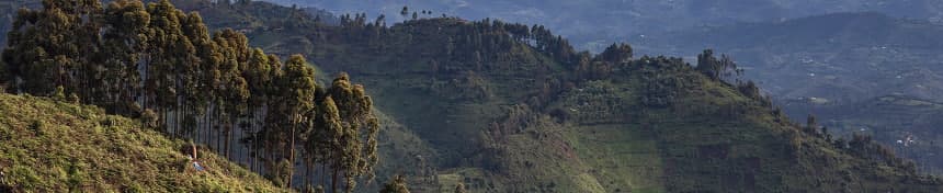 eSIM data plans for Rwanda