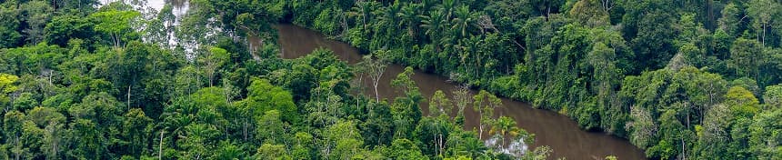 eSIM data plans for Suriname